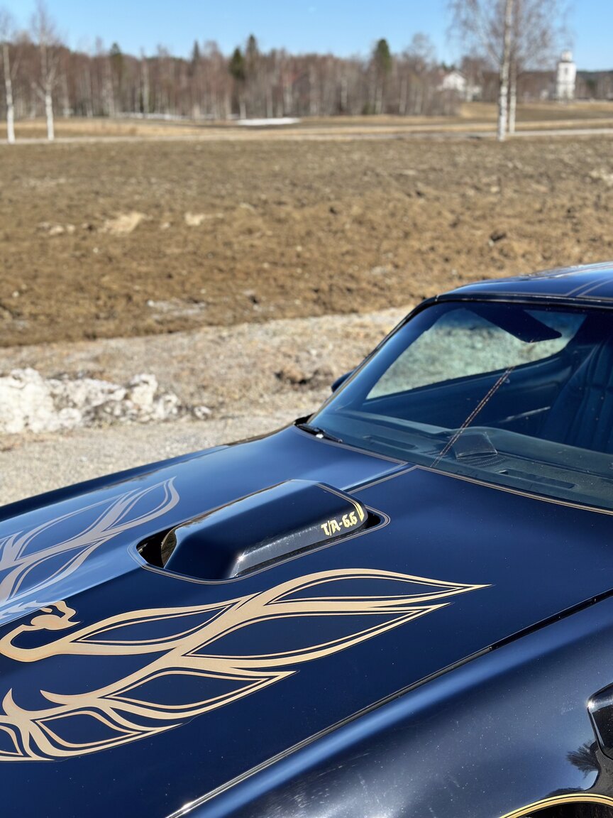 Exteriörbild på 1978 Pontiac Trans Am Bandit 400