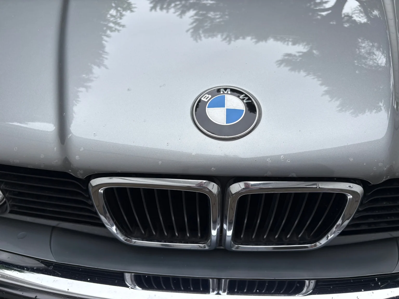 Aussenfoto 1988 BMW 730iA (40)