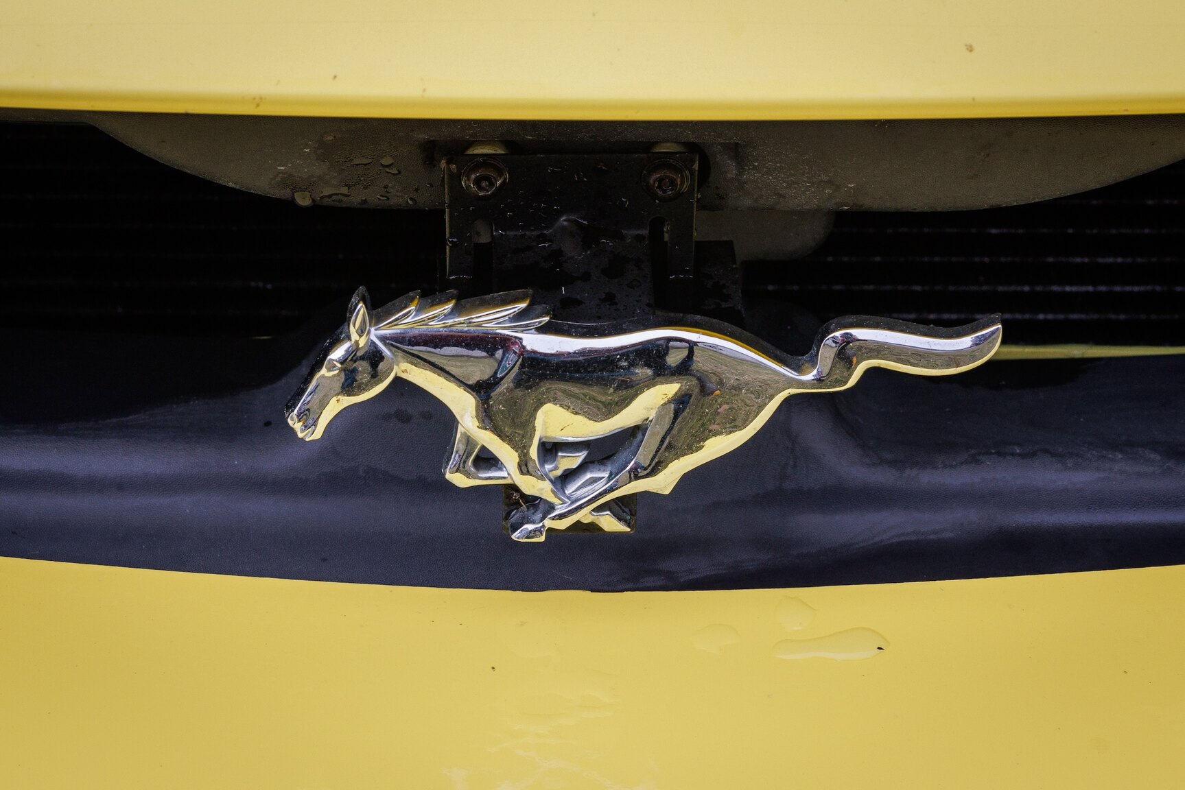 Exteriörbild på 2003 Ford Mustang SVT Cobra