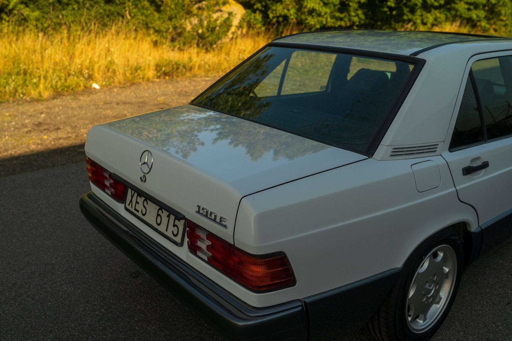 Exterior image of 1992 Mercedes-Benz 190E "No Reserve Auction"