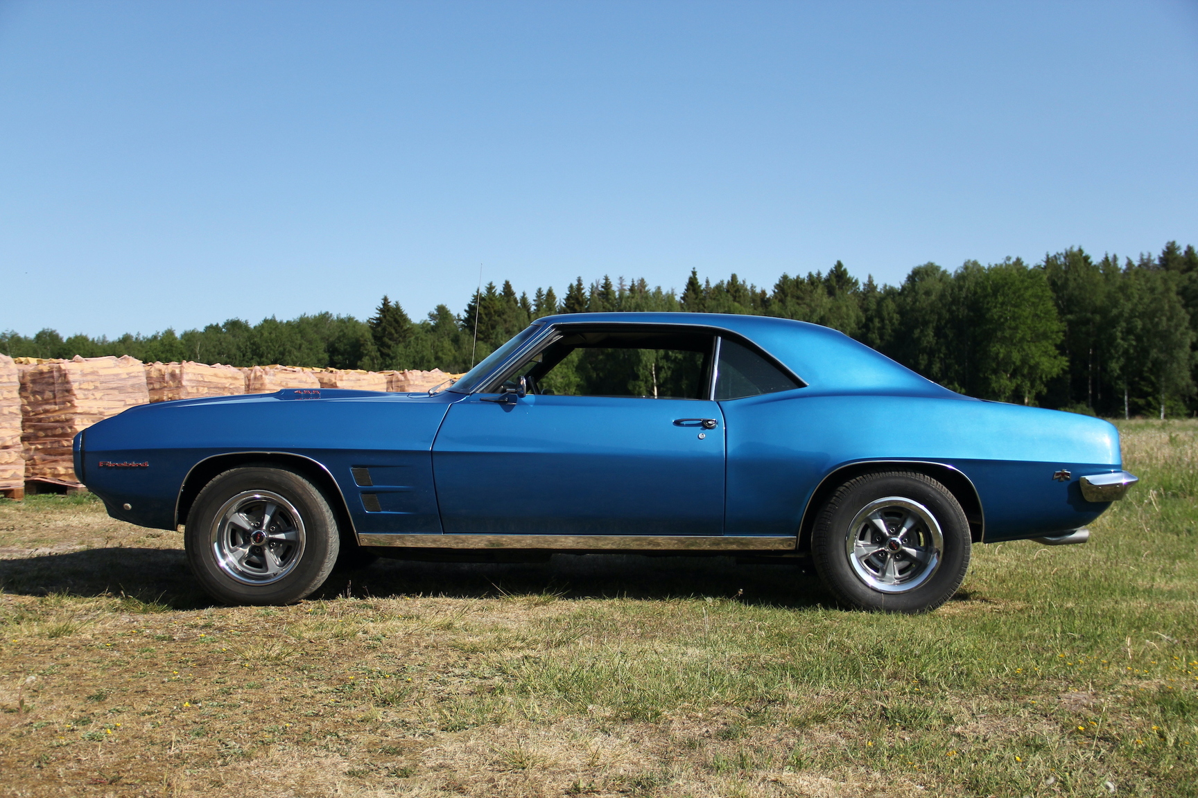 Aussenfoto 1969 Pontiac Firebird (6)