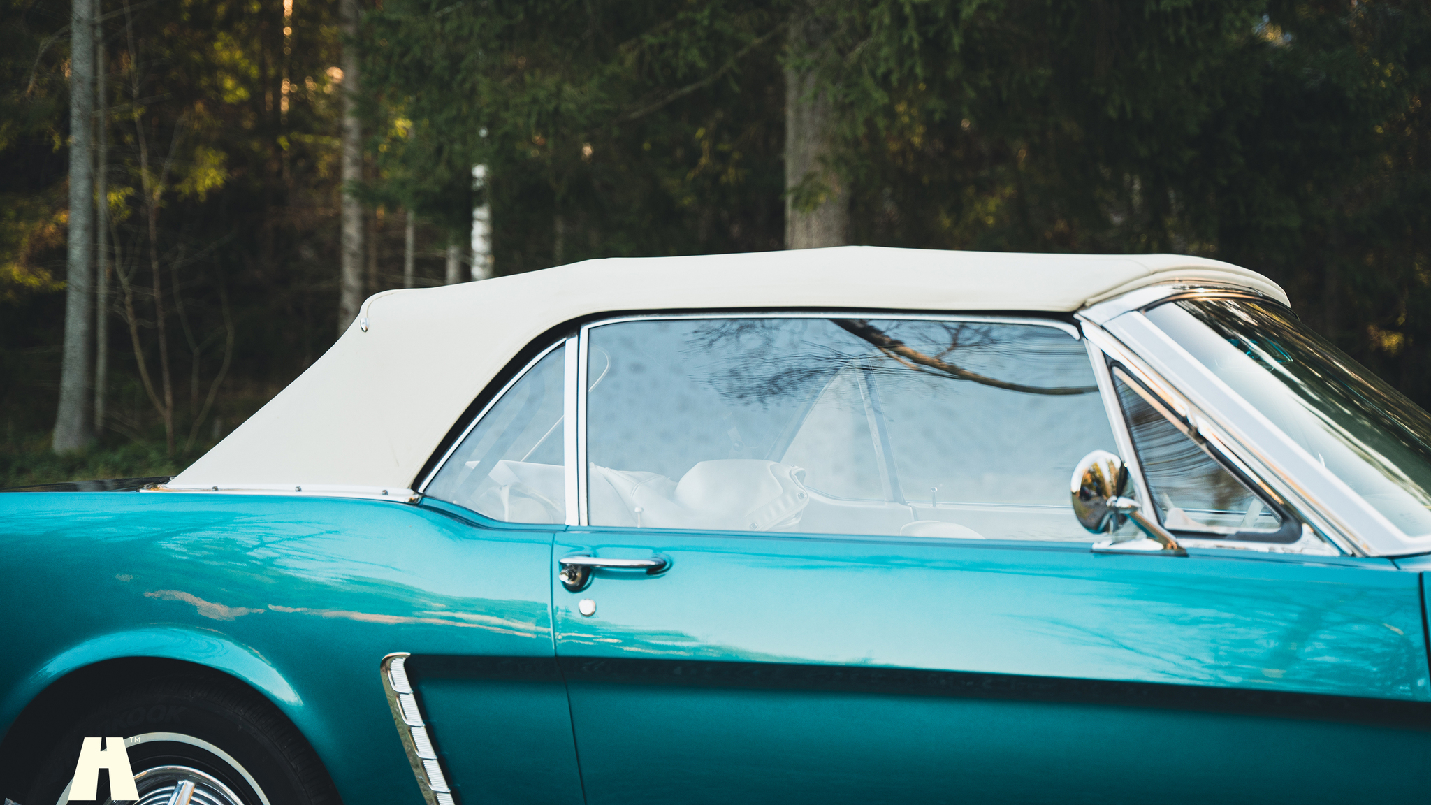 Exterior image of 1965 Ford Mustang Cabriolet (104)