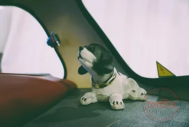 #<Image:0x00007fa8a1263d50>