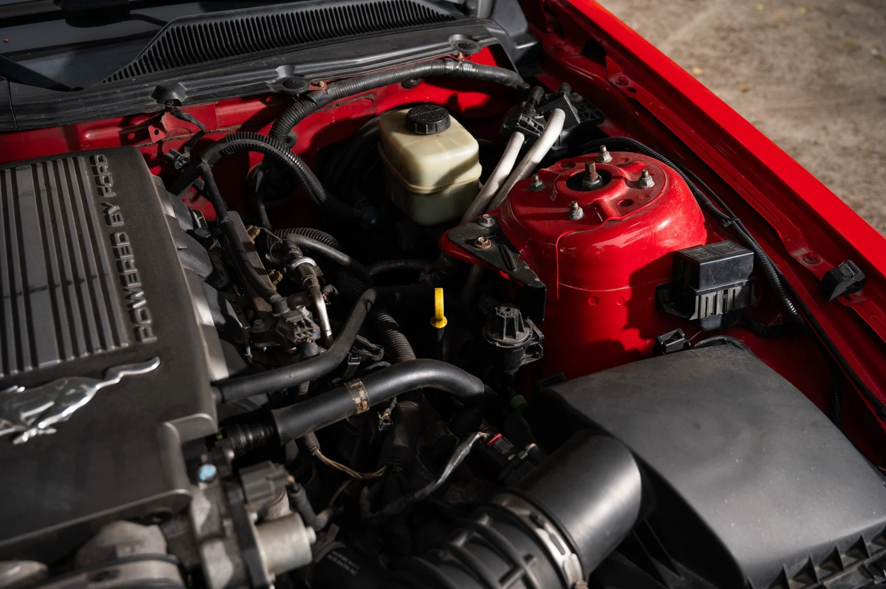 Image of 2005 Ford Mustang GT Roush Stage 2 mechanics (2)