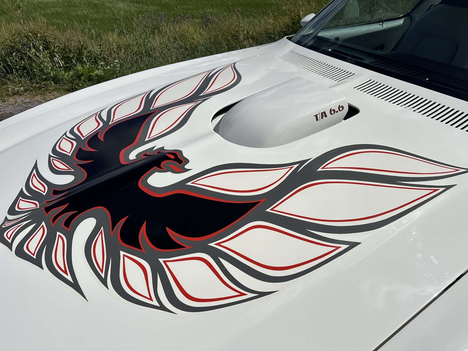 Exterior image of 1976 Pontiac Firebird Trans Am