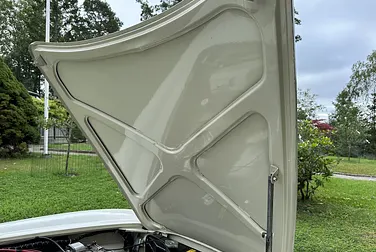 #<Image:0x00007fc325d55f08>