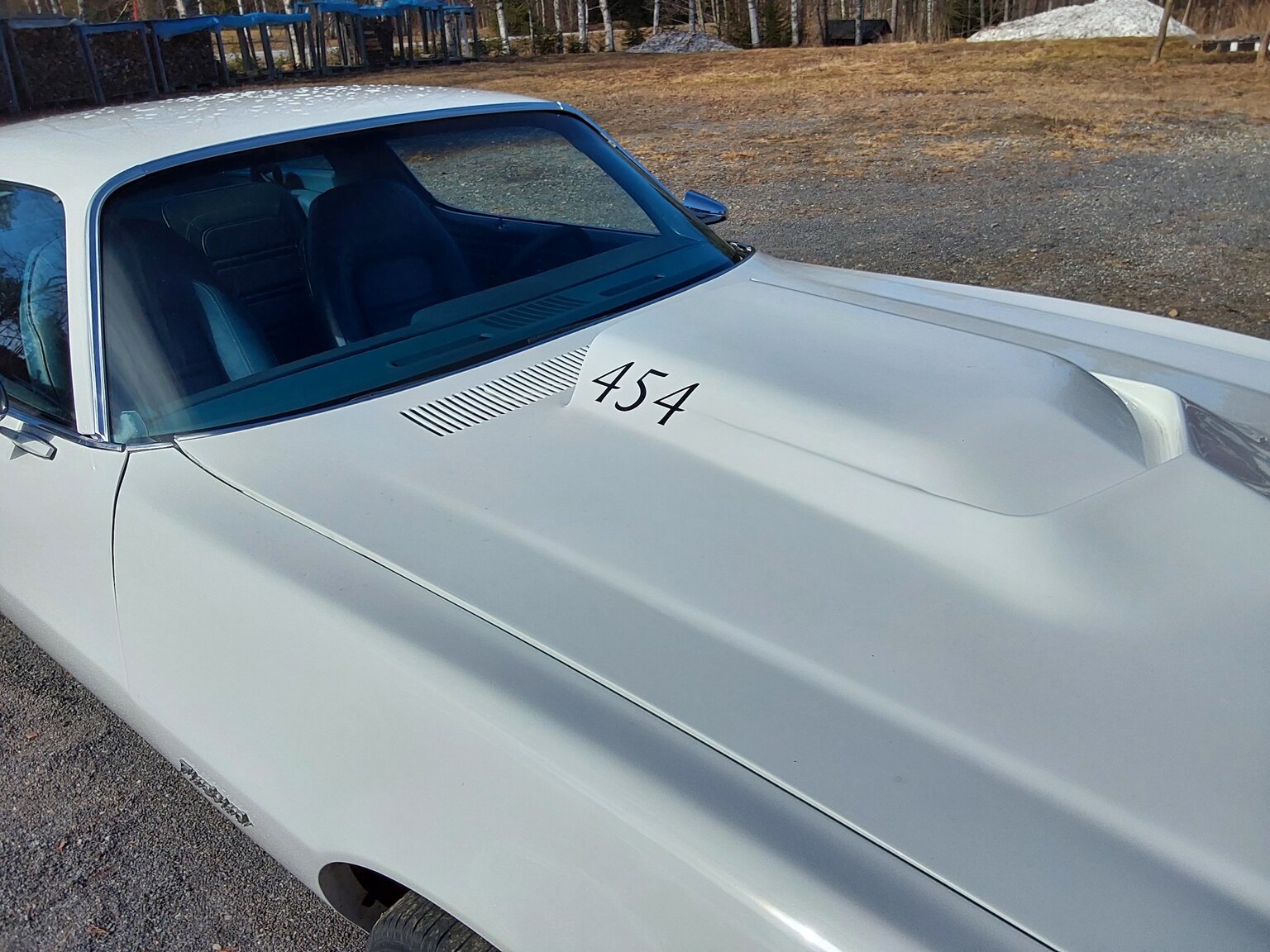 Exterior image of 1975 Pontiac Firebird Esprit 