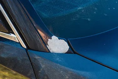 #<Image:0x00007fd2173d4ed8>