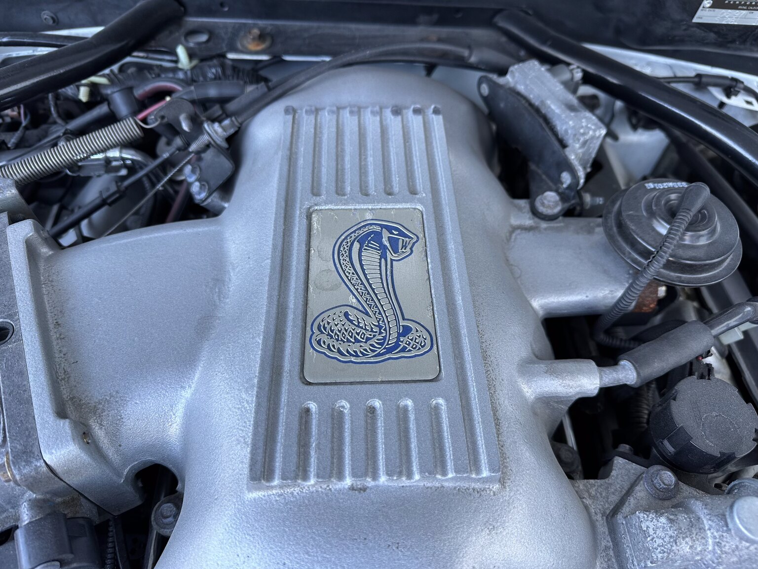 Image of 1997 Ford Mustang Saleen S-281 Cobra mechanics