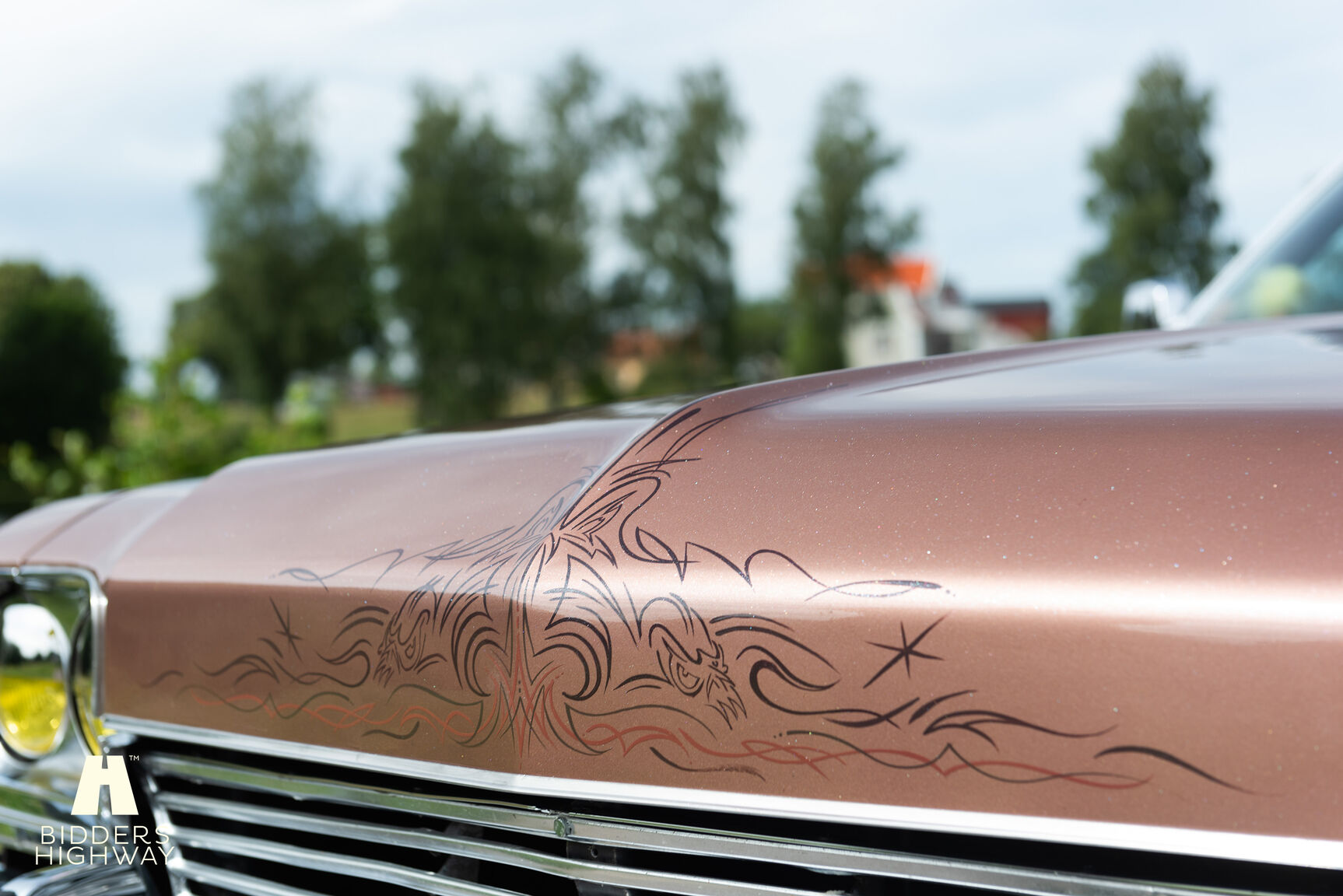 Aussenfoto 1973 Buick Electra Custom 2D HT Coupe