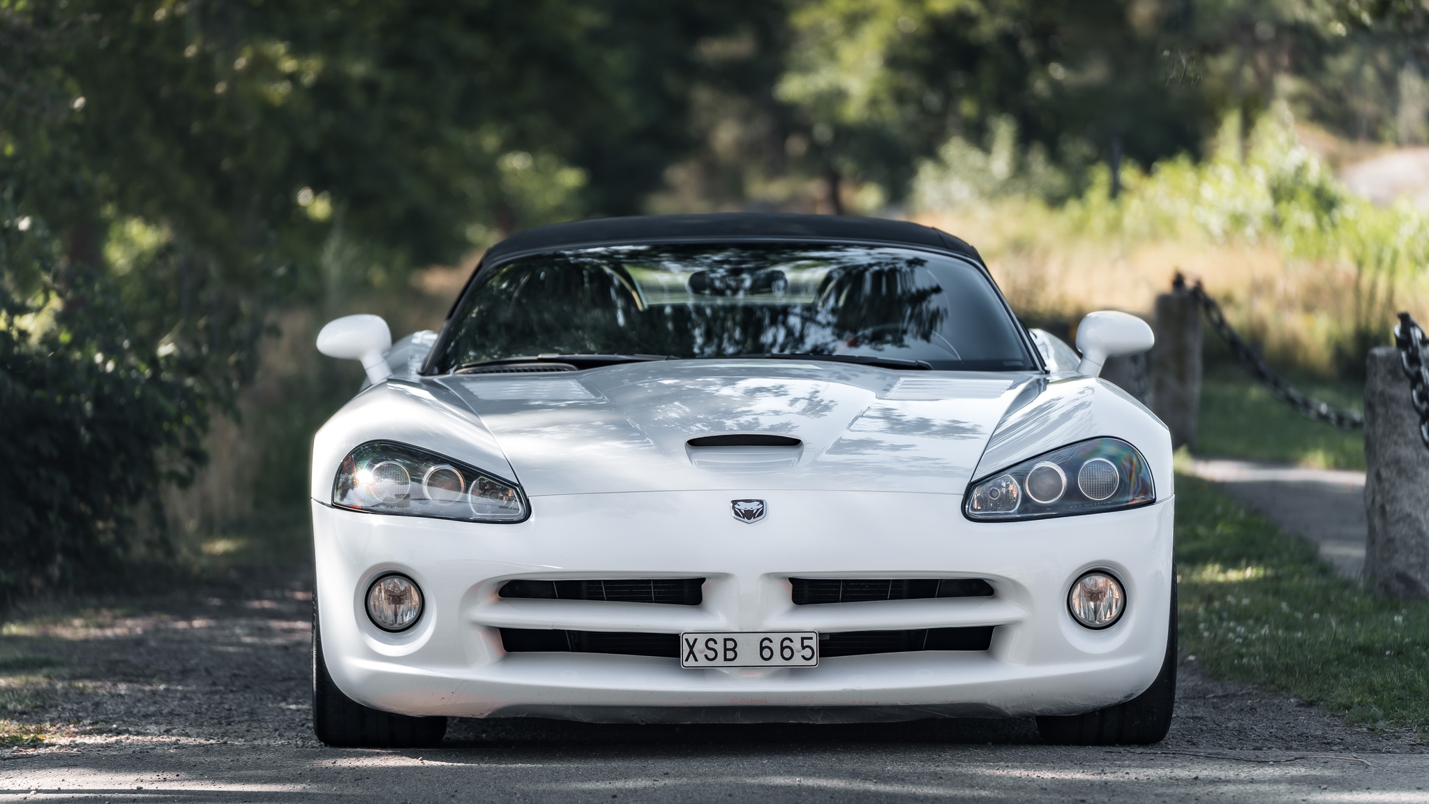 Aussenfoto 2004 Dodge Viper Mamba Edition