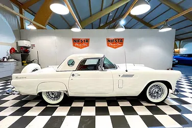 #<Image:0x00007f2ff45a30e0>