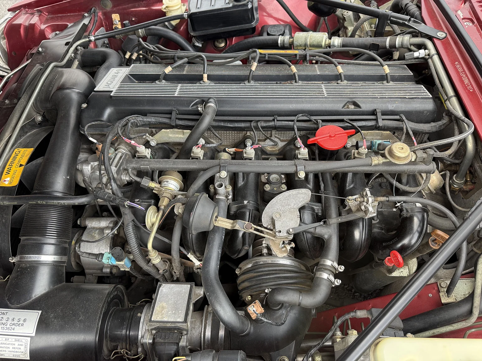 Exterior image of 1993 Jaguar XjS Cabriolet (2)