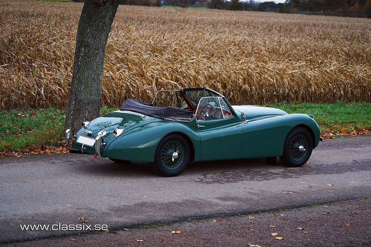 Bild von 1954 Jaguar XK120 (9)