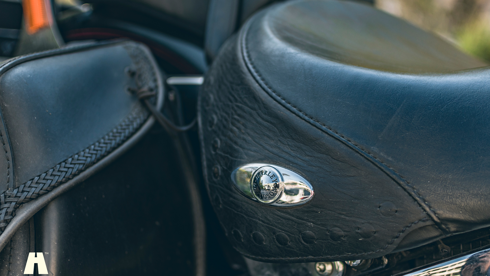 Exterior image of 2000 Harley Davidson Heritage Softail Classic (28)