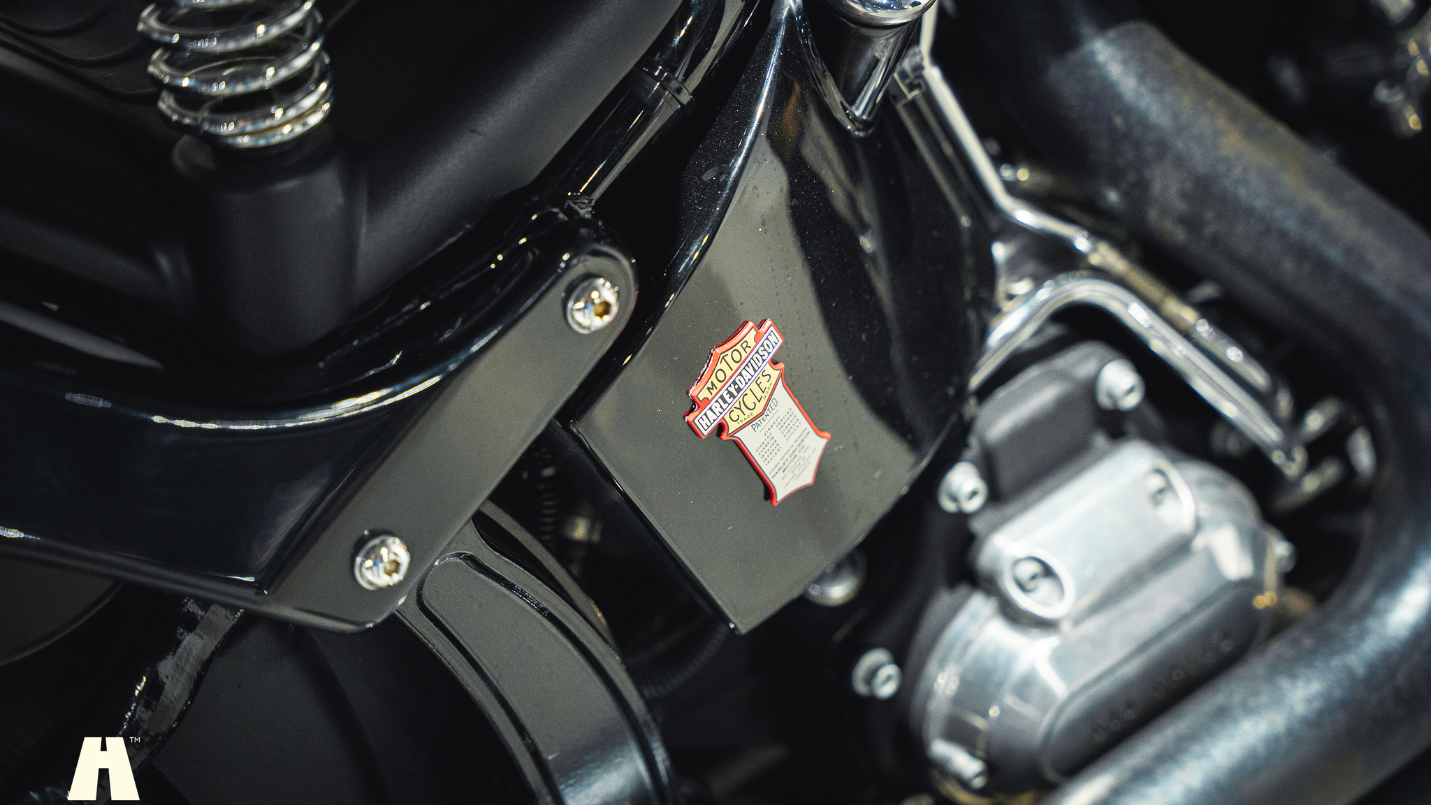 Exterior image of 2008 Harley-Davidson Cross Bones Twin Cam (23)