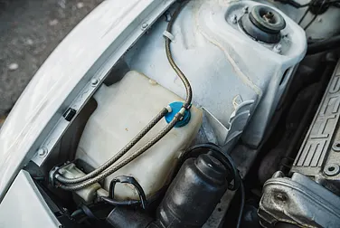 #<Image:0x00007f3ff63af510>