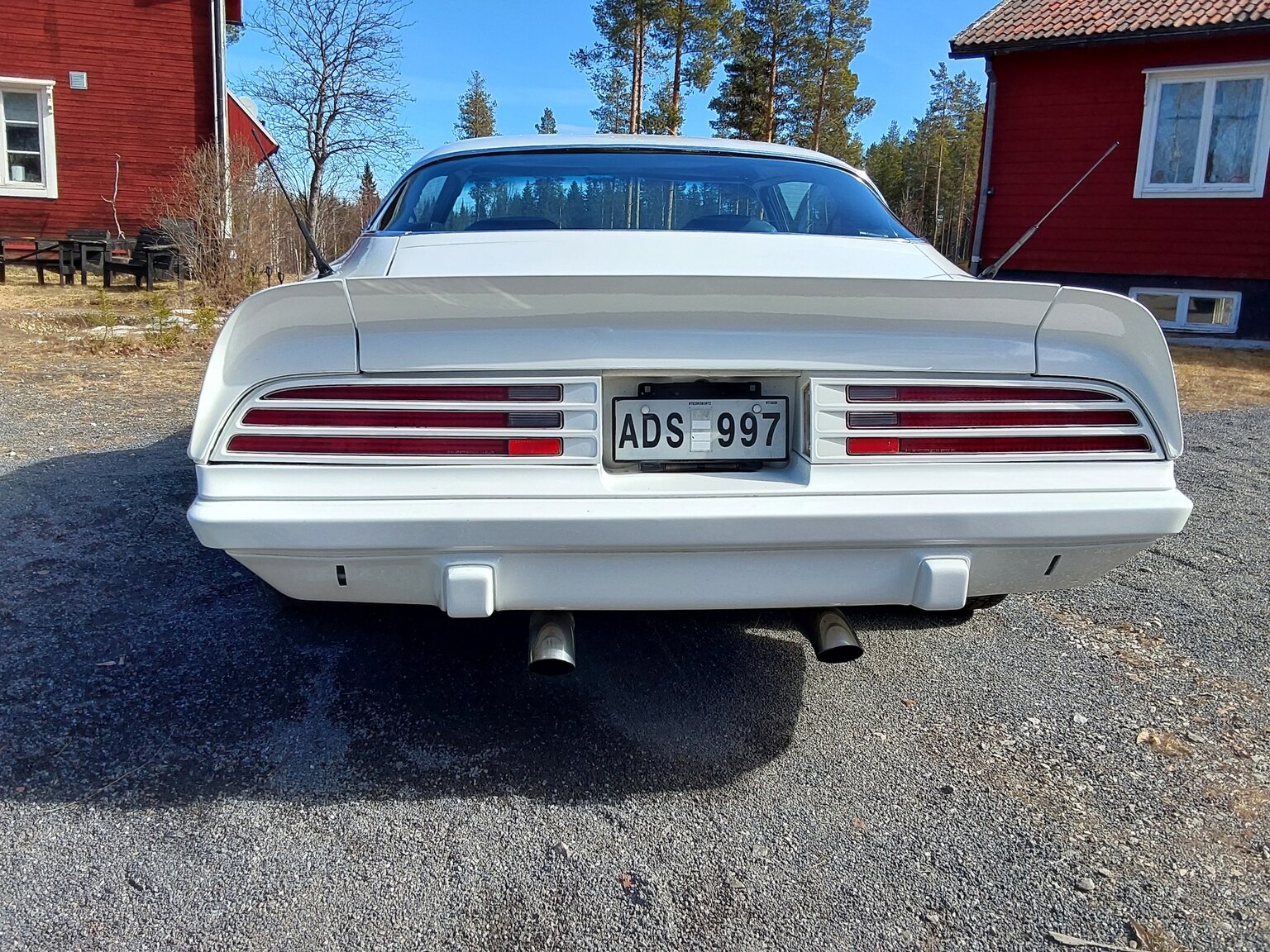 Exterior image of 1975 Pontiac Firebird Esprit 