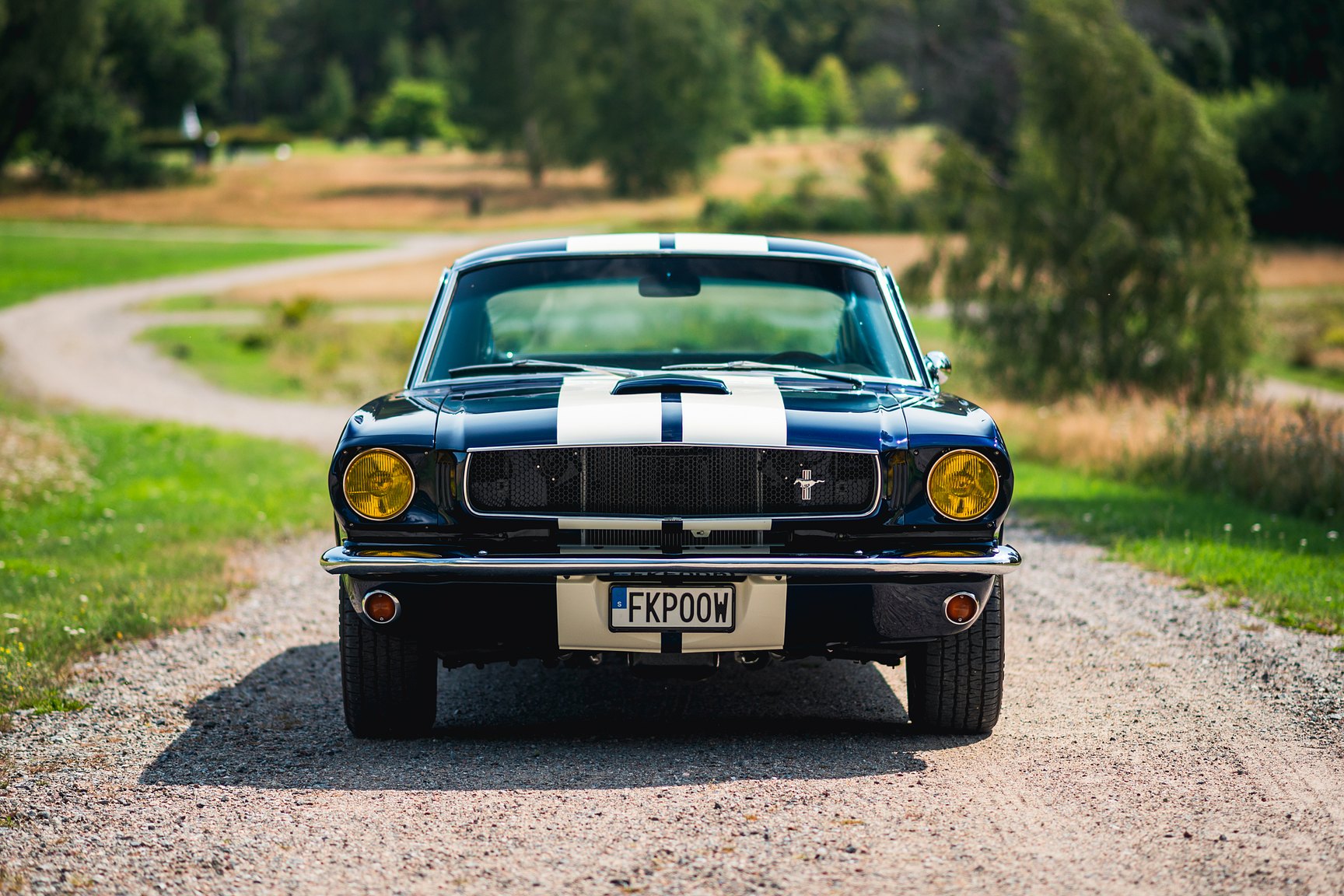 Exterior image of 1965 Ford Mustang Fastback