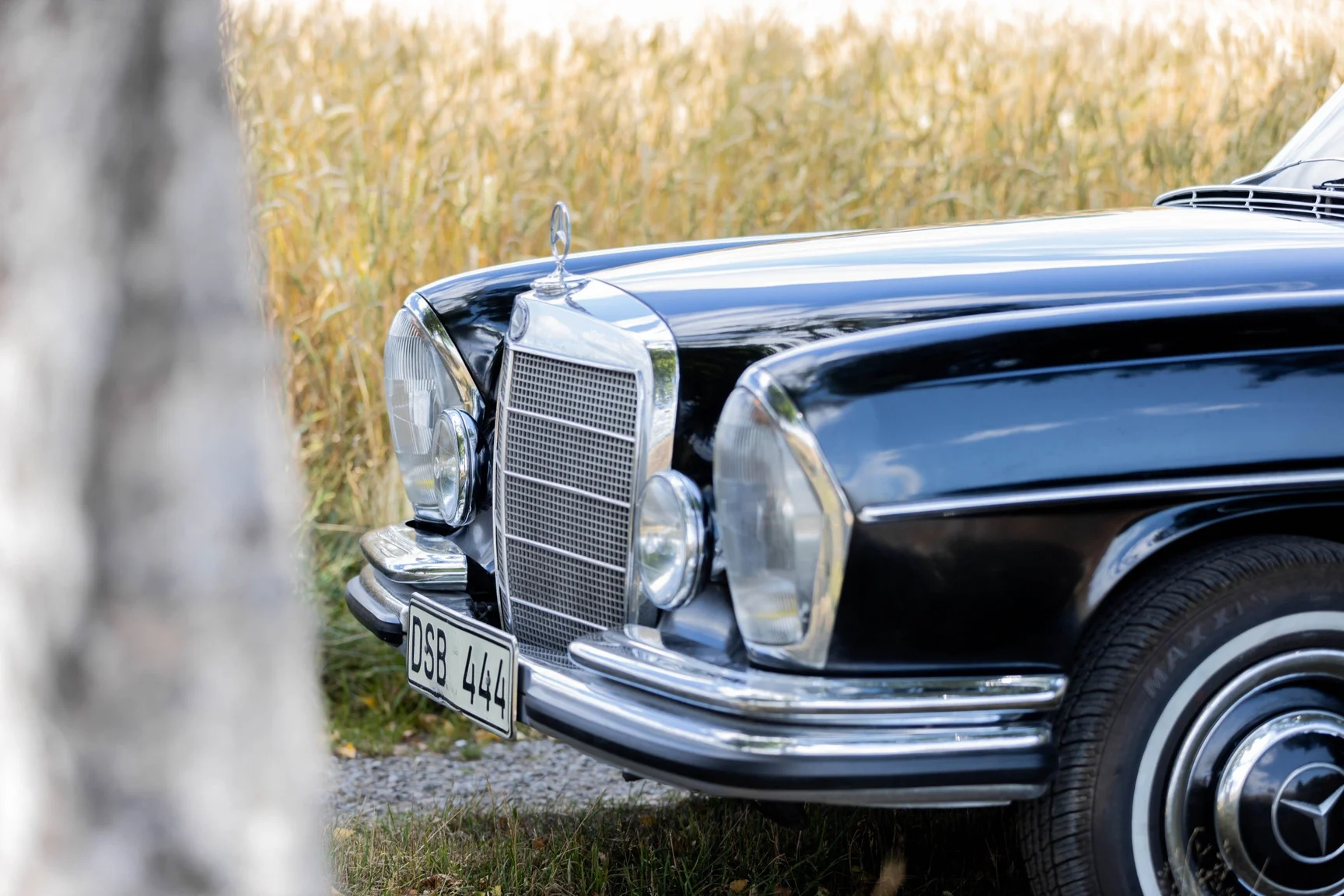 Aussenfoto 1967 Mercedes-Benz 250 S 250 s (27)