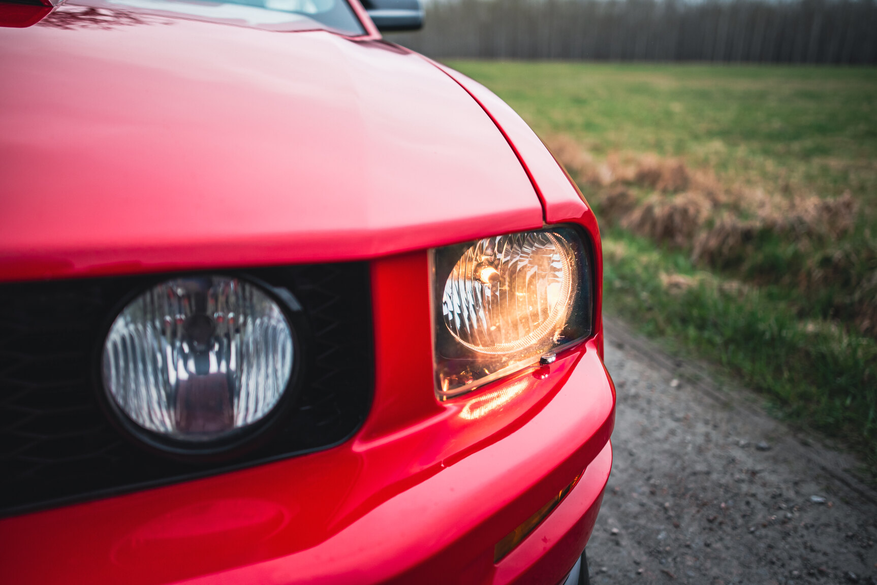 Exterior image of 2009 Ford Mustang V8 GT Convertible