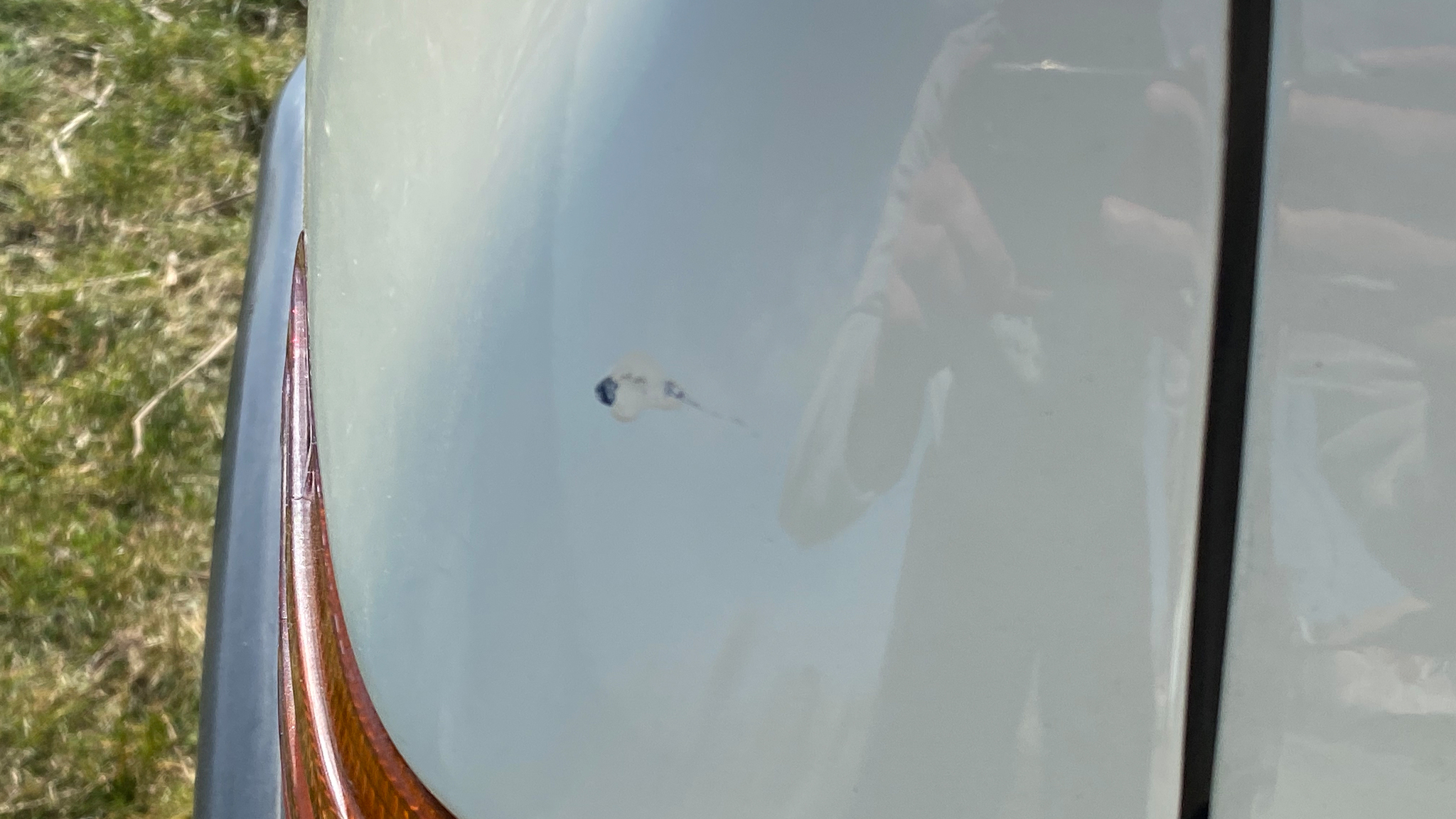 Aussenfoto 1972 Mercedes-Benz 350 SL (76)