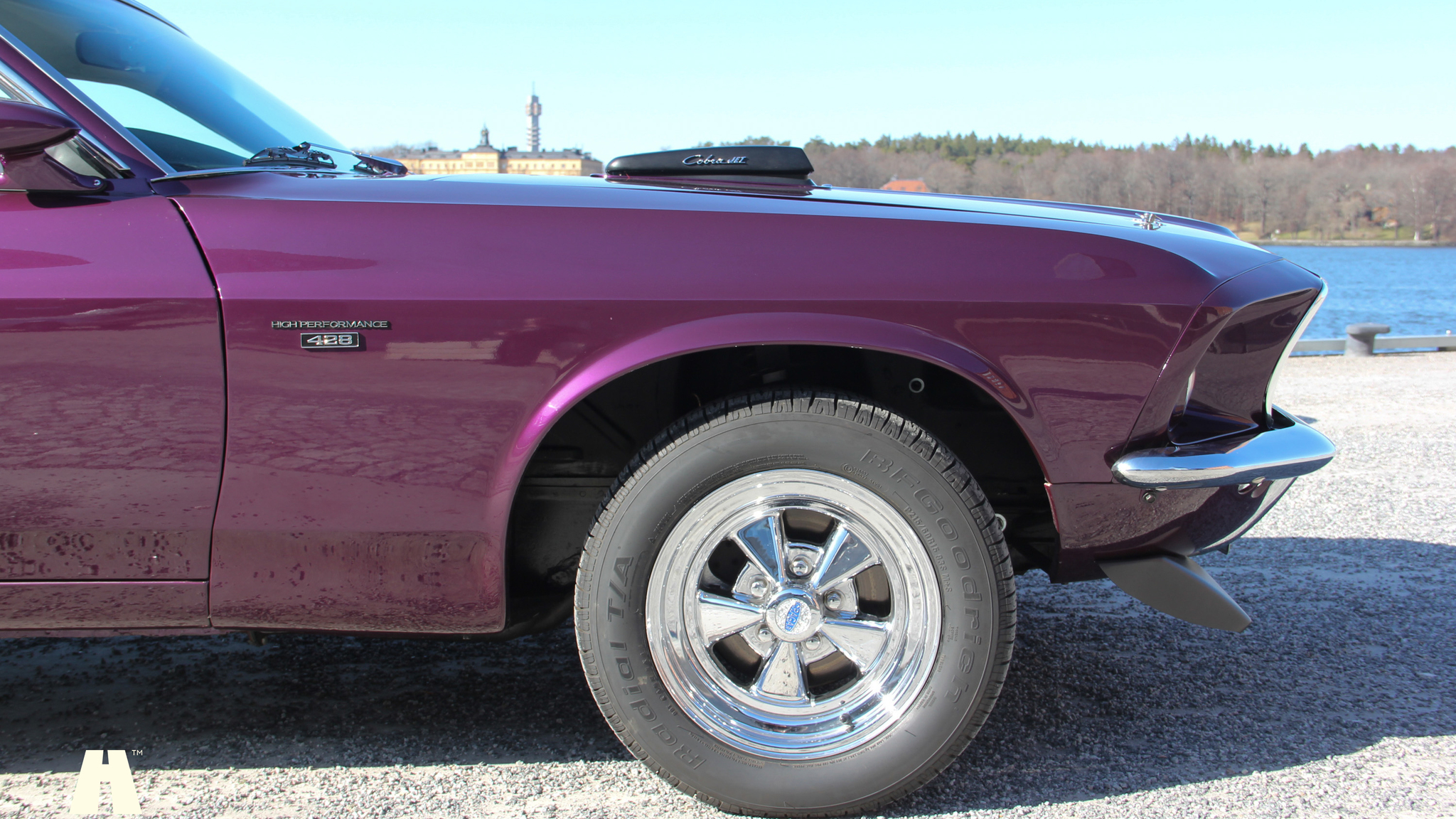 Exterior image of 1969 Ford Mustang Mach 1 (21)