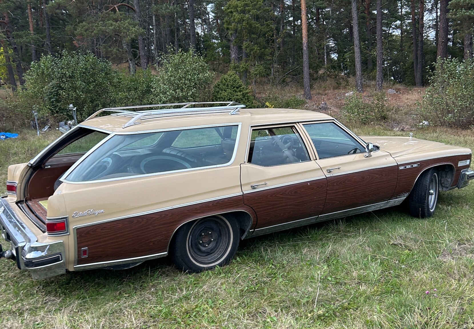 Exteriörbild på 1973 Buick Estate Wagon