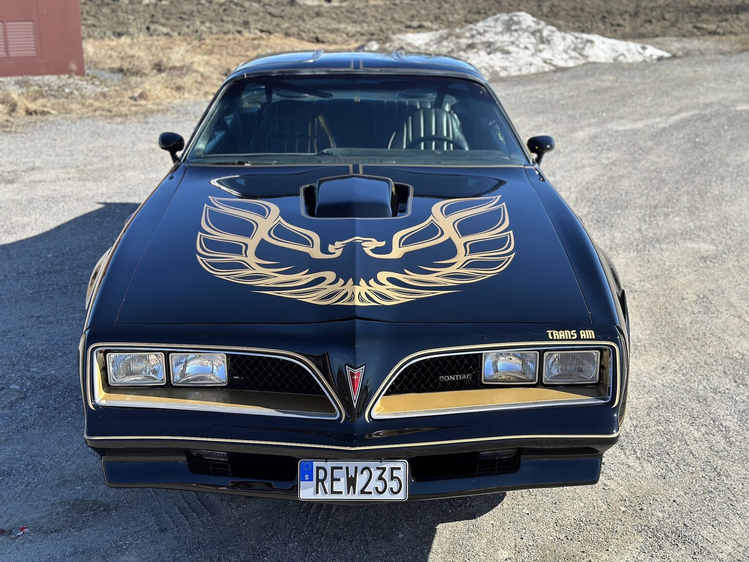 Exterior image of 1978 Pontiac Trans Am Bandit 400