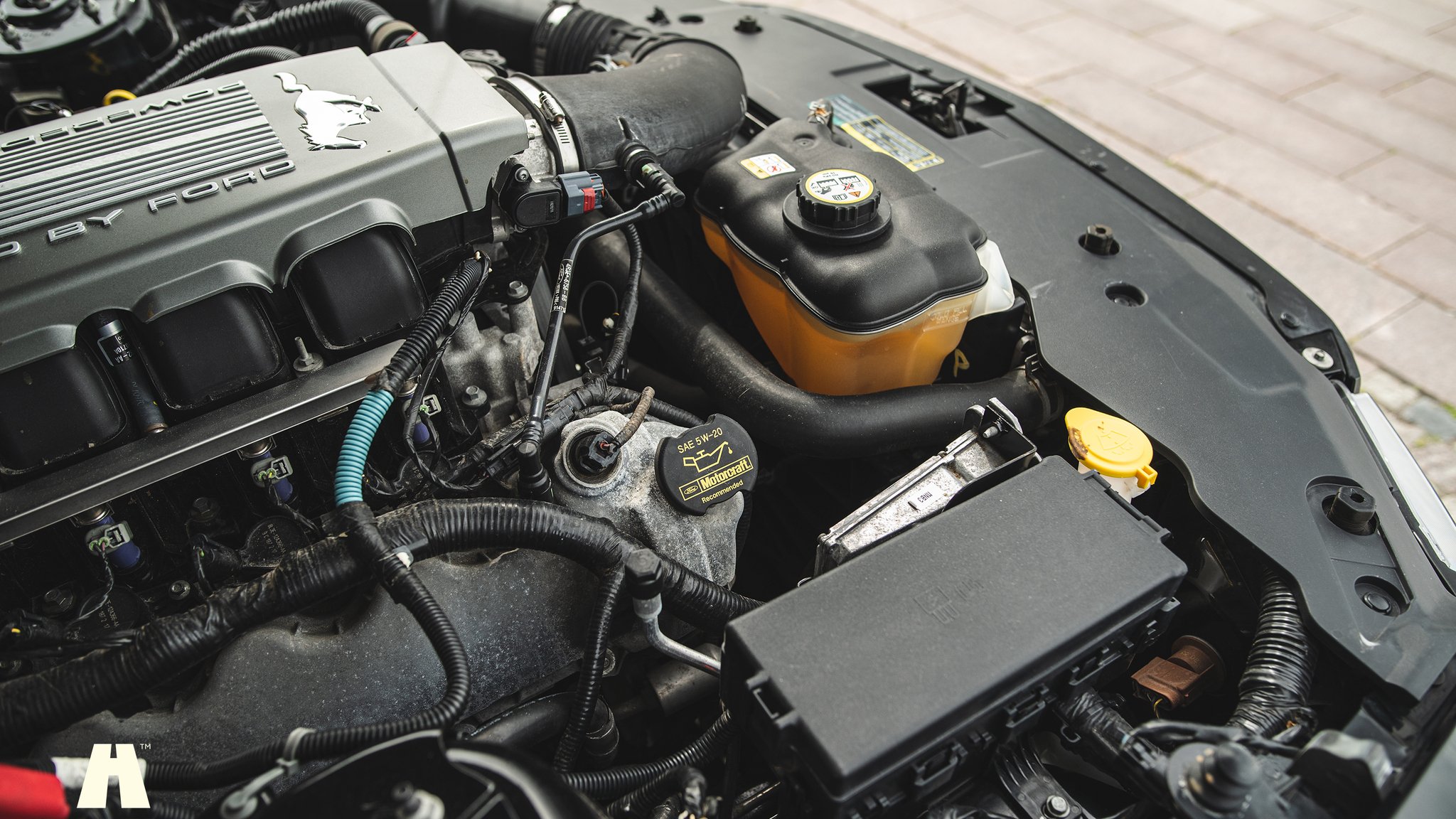 Image of 2010 Ford Mustang GT  mechanics