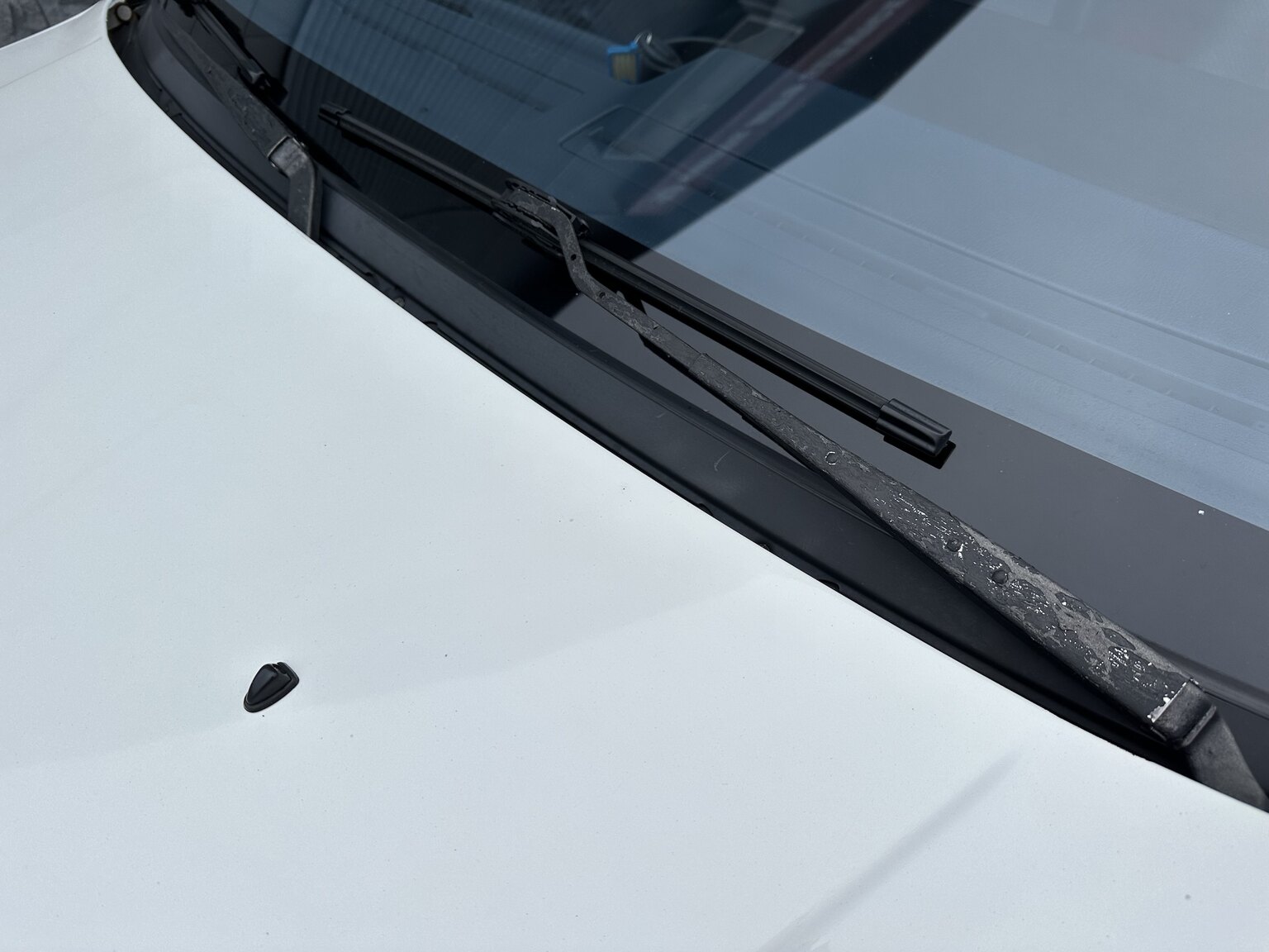 Exteriörbild på 1988 Nissan Sunny (14)