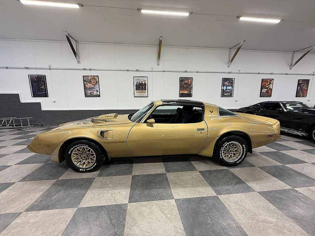 Bild på 1979 Pontiac Firebird (1)