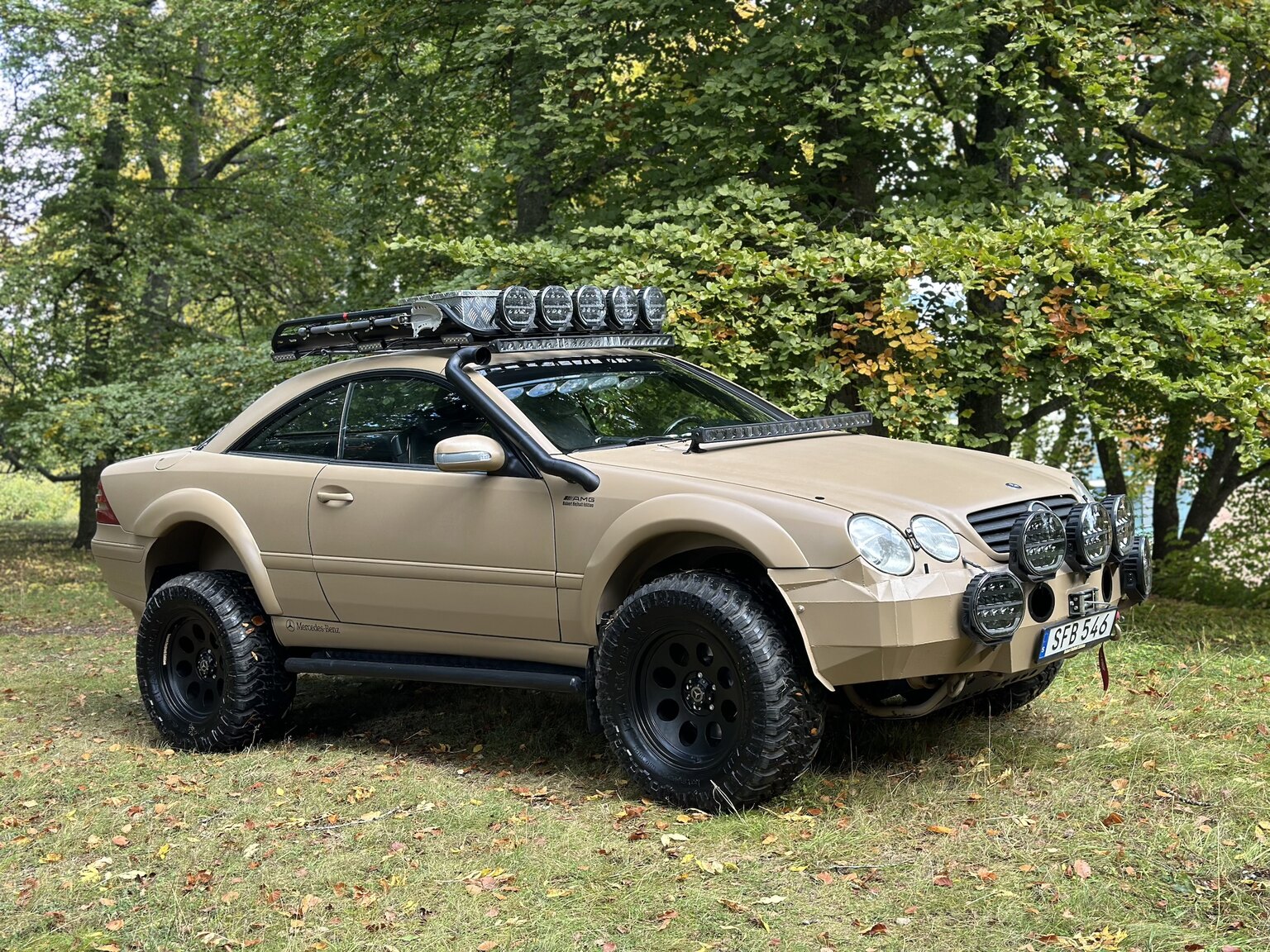 Aussenfoto 2001 Mercedes-Benz CL600/ML 55 AMG