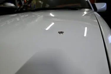 #<Image:0x00007fbc7a15ce60>