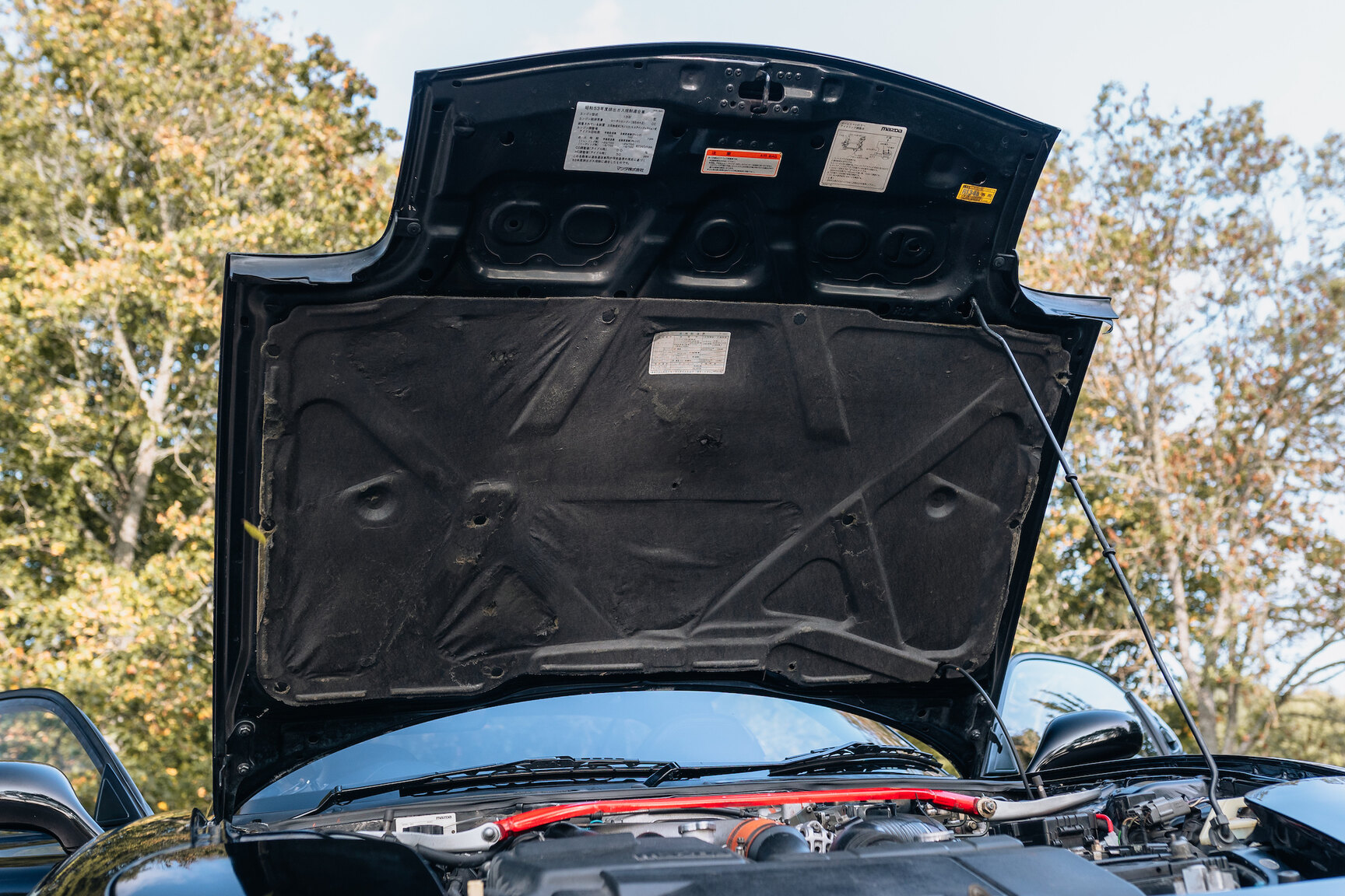 Image of 1994 Mazda RX7 (18) mechanics