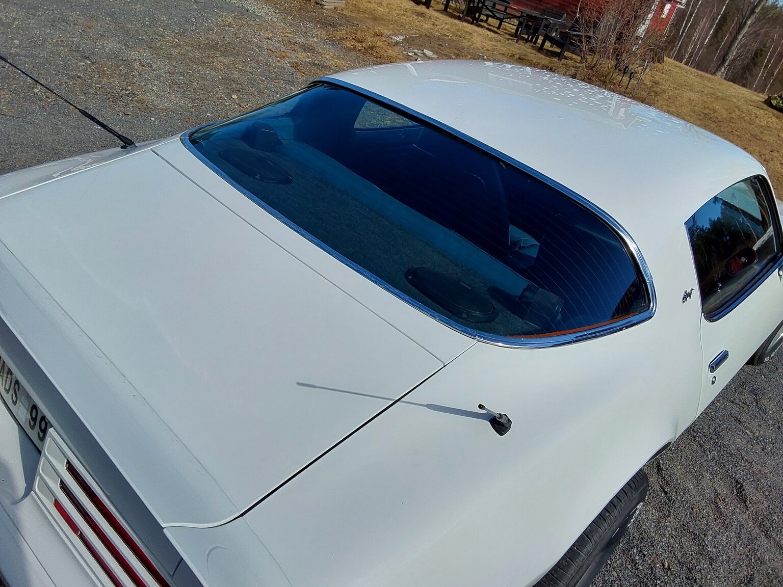 Aussenfoto 1975 Pontiac Firebird Esprit 