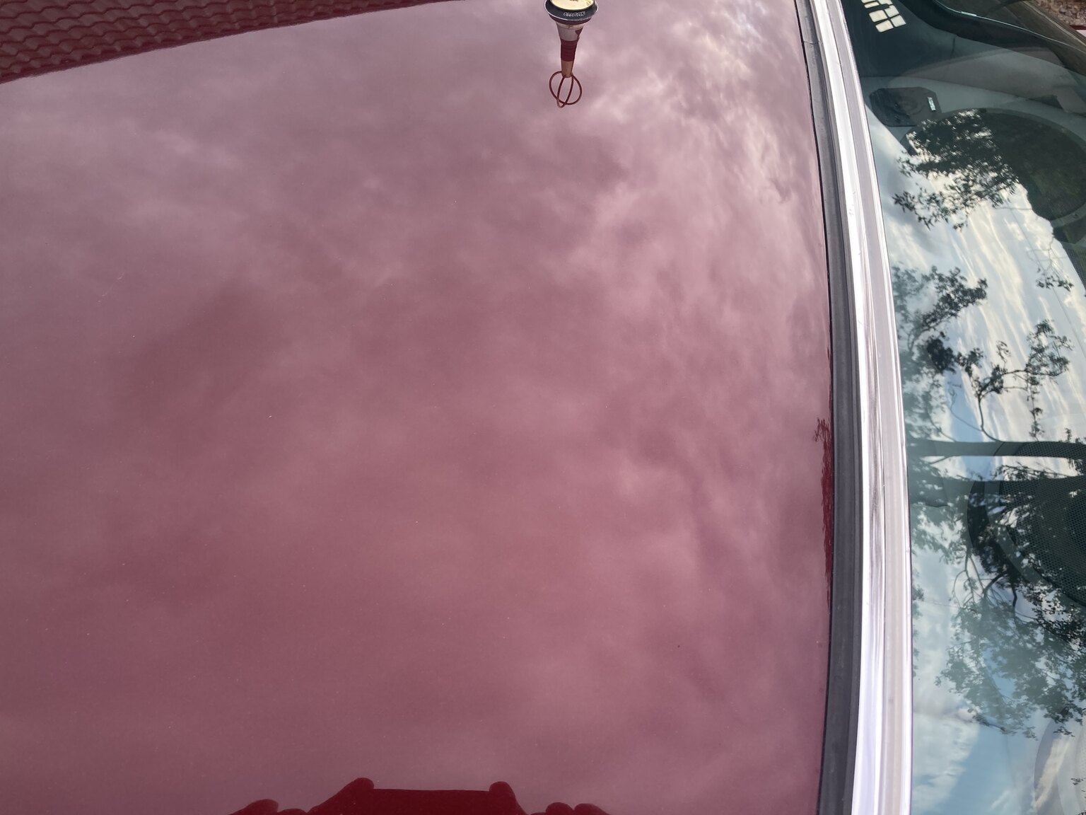 Exterior image of 1973 Mercedes-Benz 450 SLC