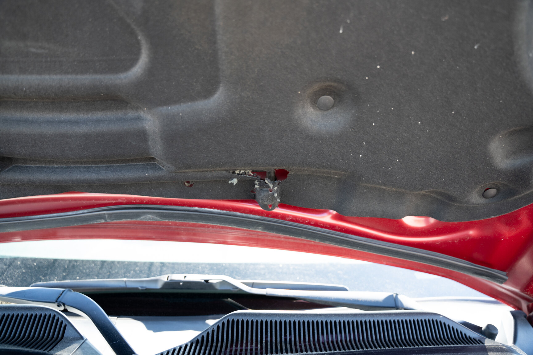 Image of 2005 Ford Mustang GT Cabriolet mechanics