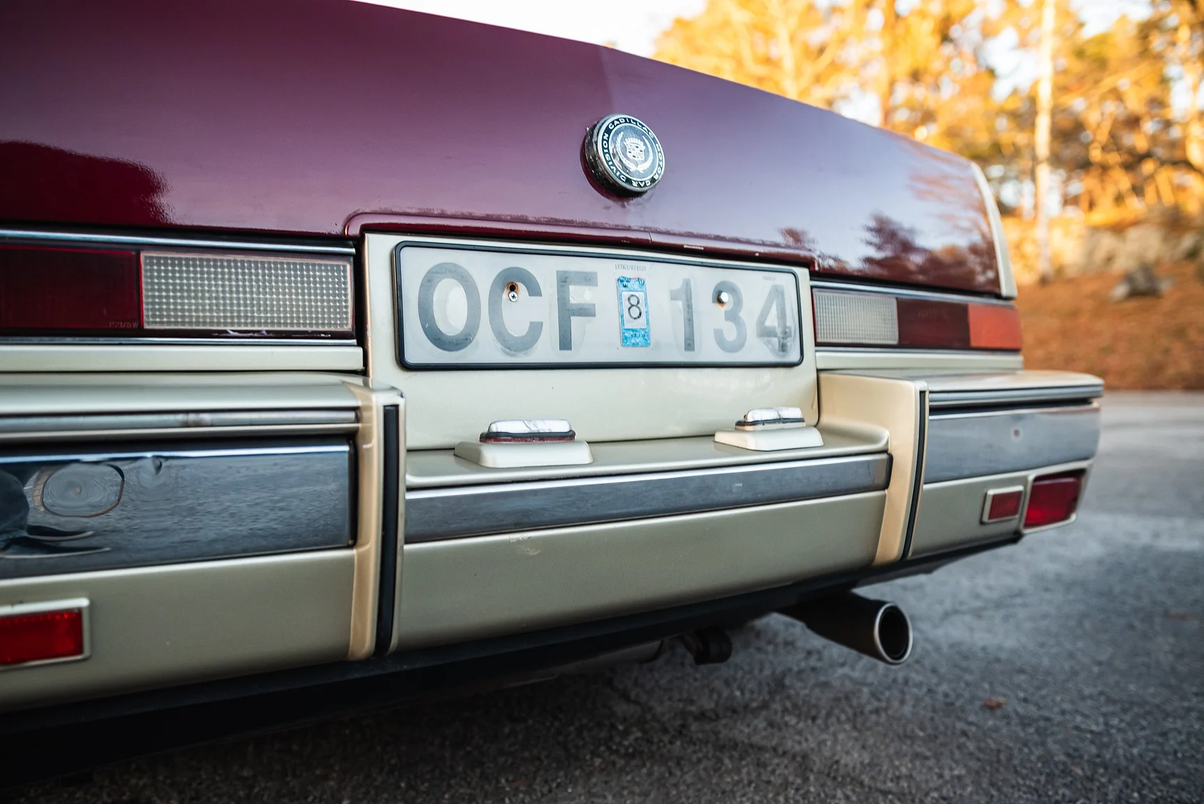 Exterior image of 1989 Cadillac Seville (31)