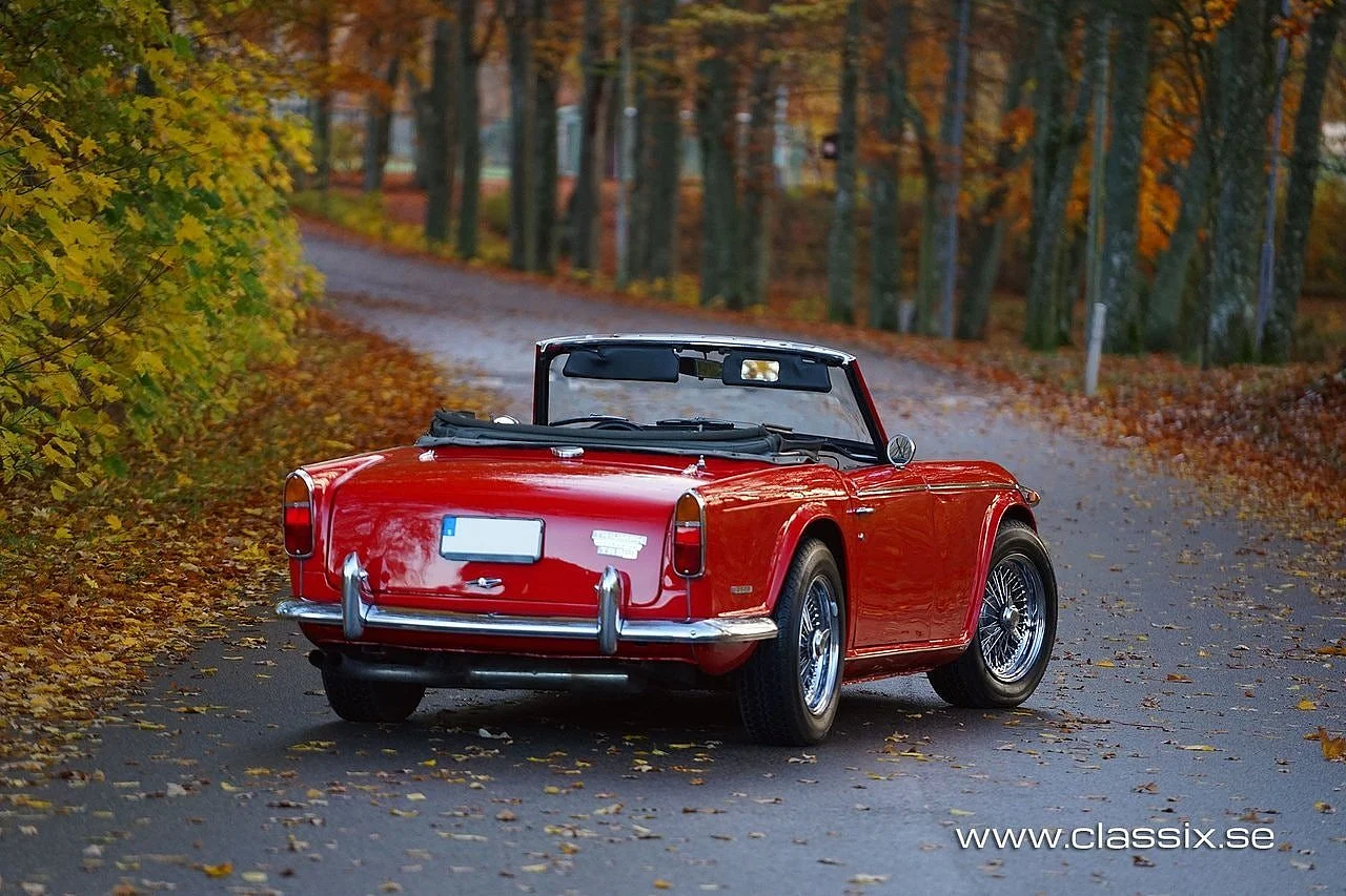 Bild von 1968 Triumph TR5 (15)