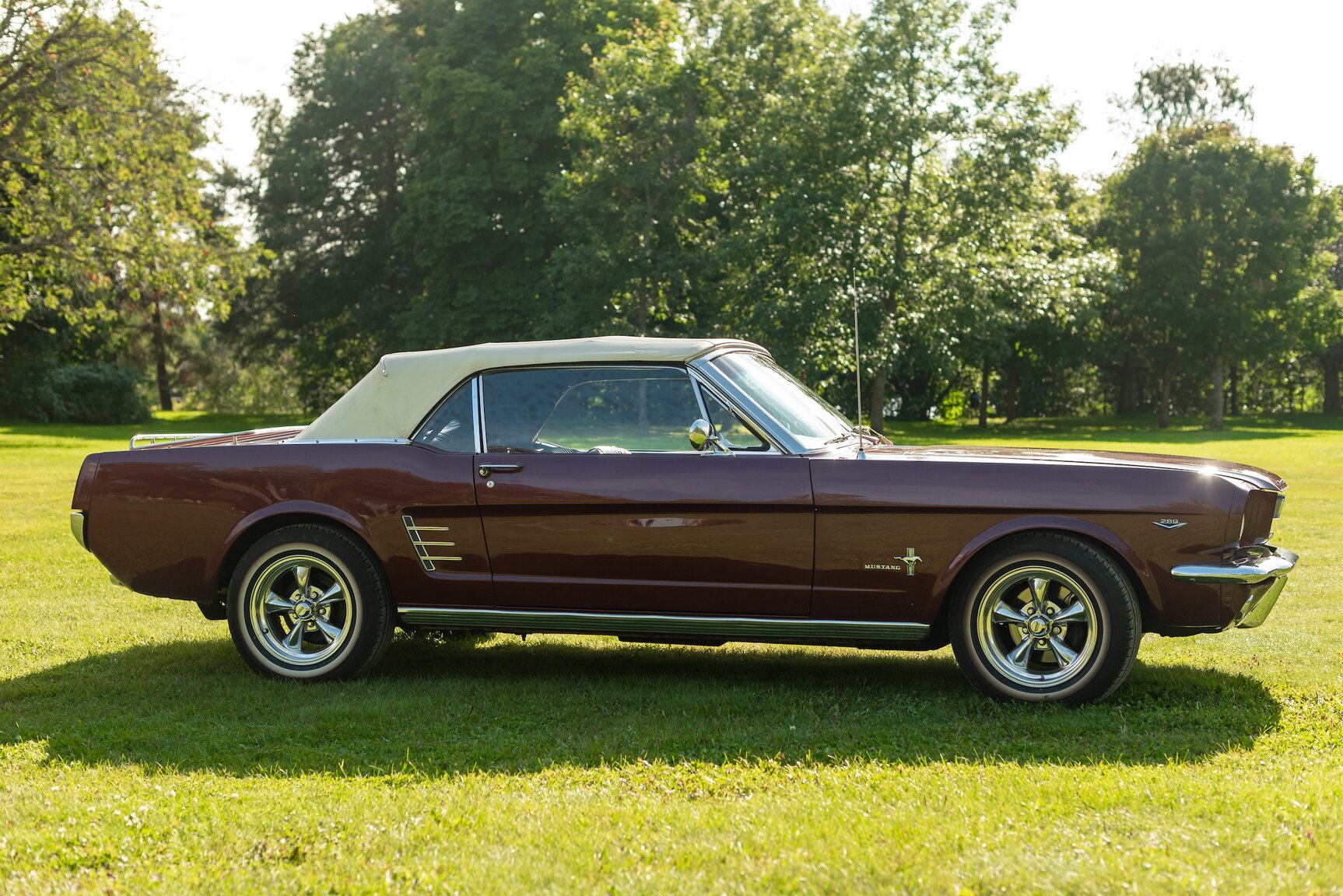 Aussenfoto 1966 Ford Mustang Convertible