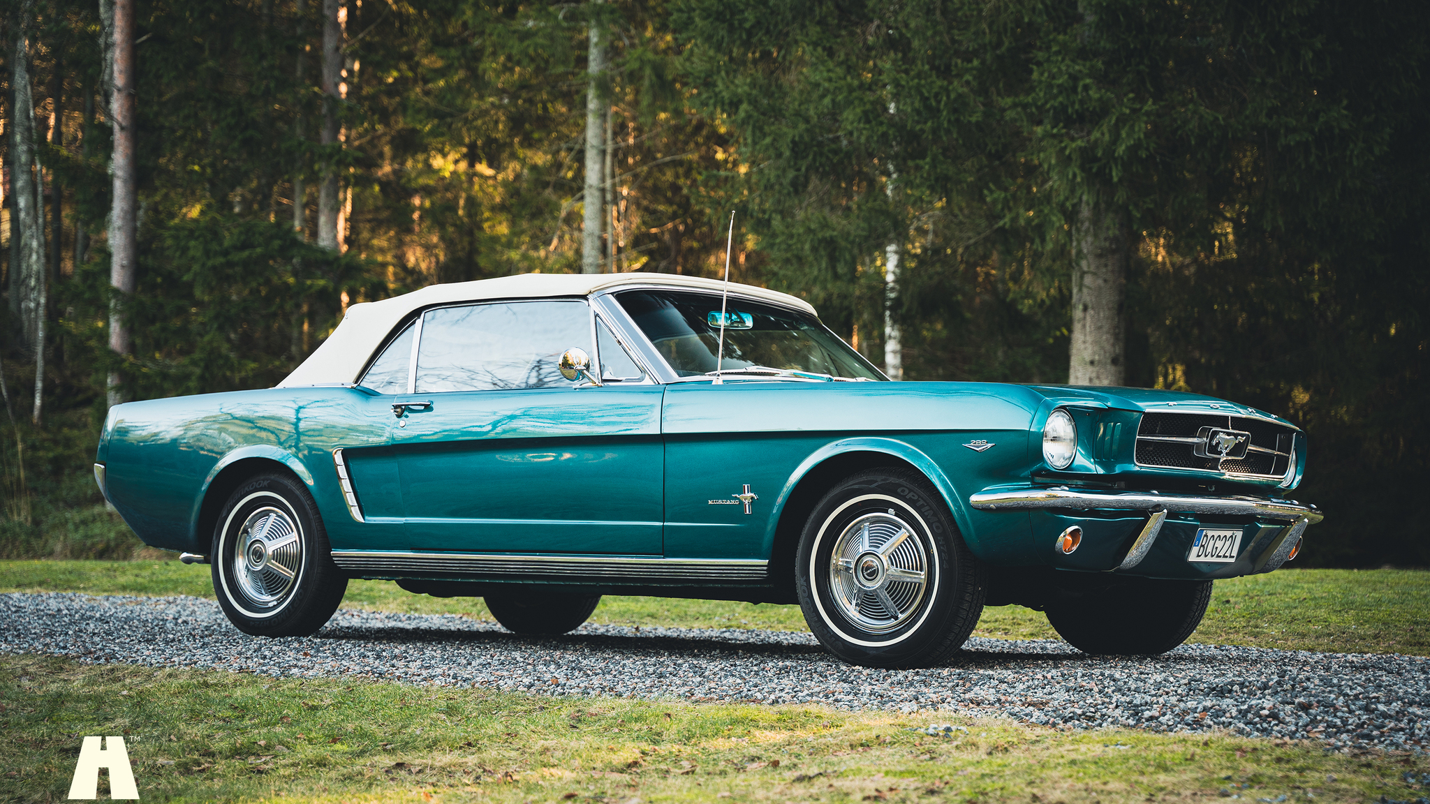 Exteriörbild på 1965 Ford Mustang Cabriolet (12)
