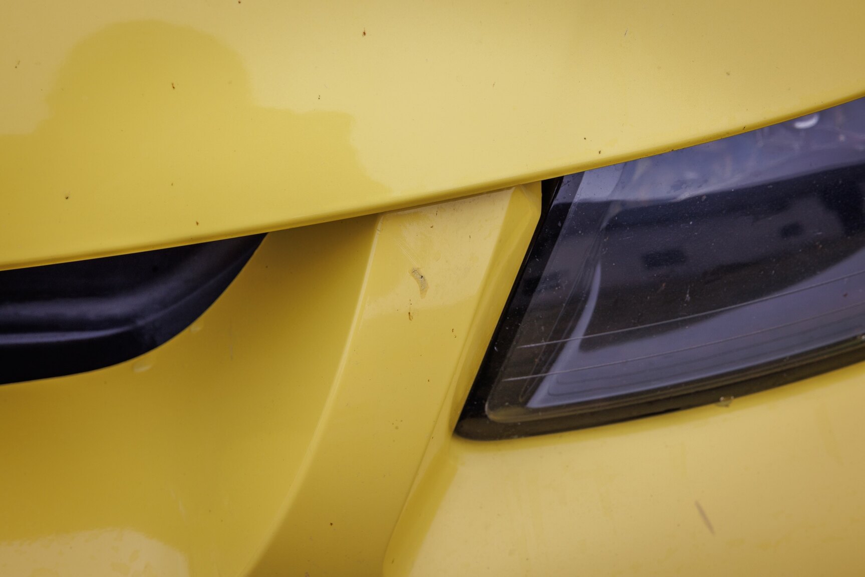 Exterior image of 2003 Ford Mustang SVT Cobra