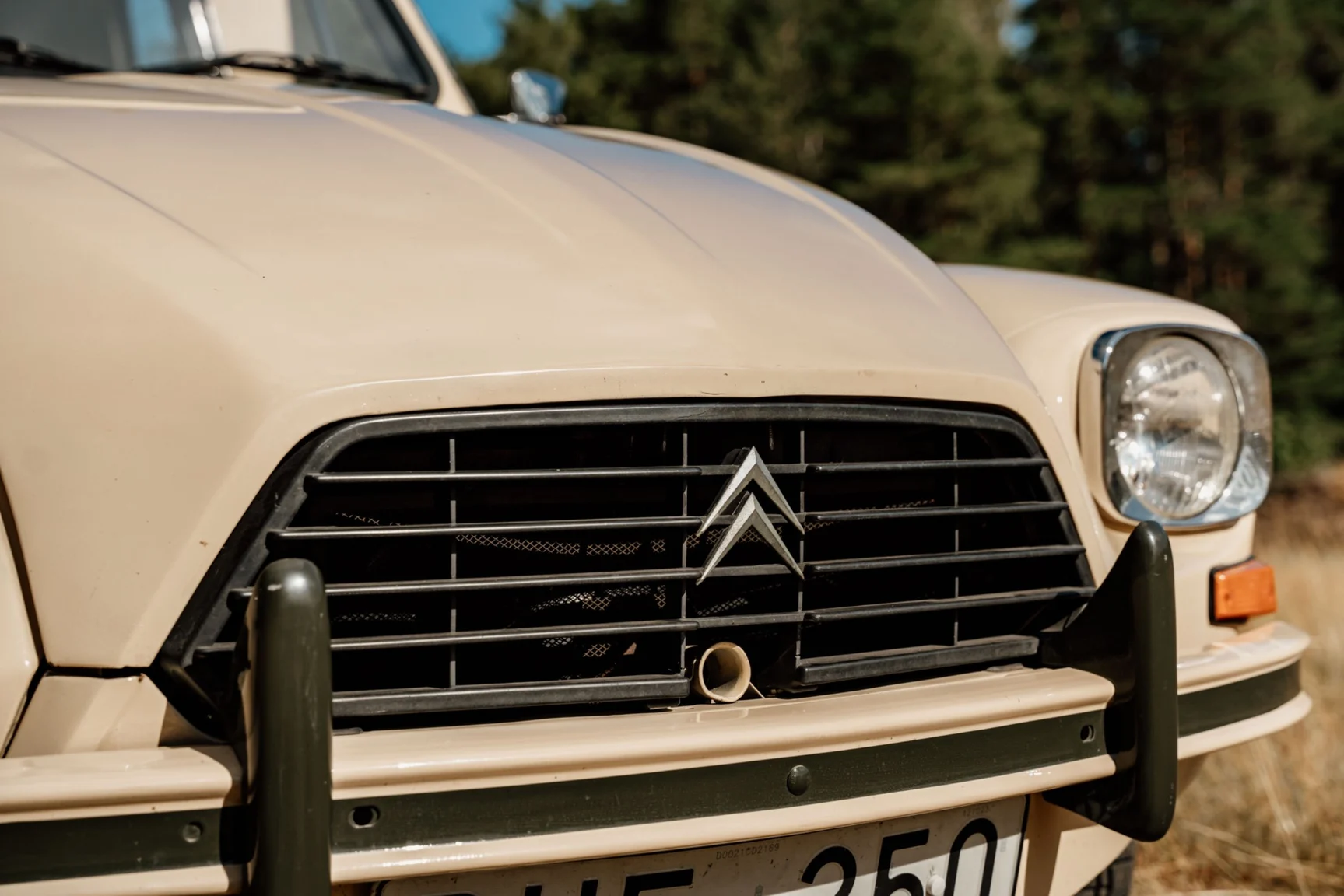 Aussenfoto 1987 Citroën Acadiane (39)