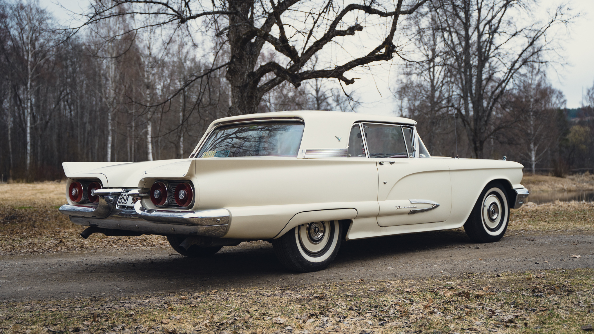 Aussenfoto 1959 Ford Thunderbird hardtop (5)