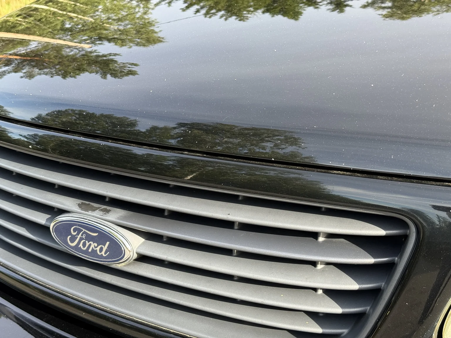 Exterior image of 2002 Ford F-150 SVT Lightning (58)
