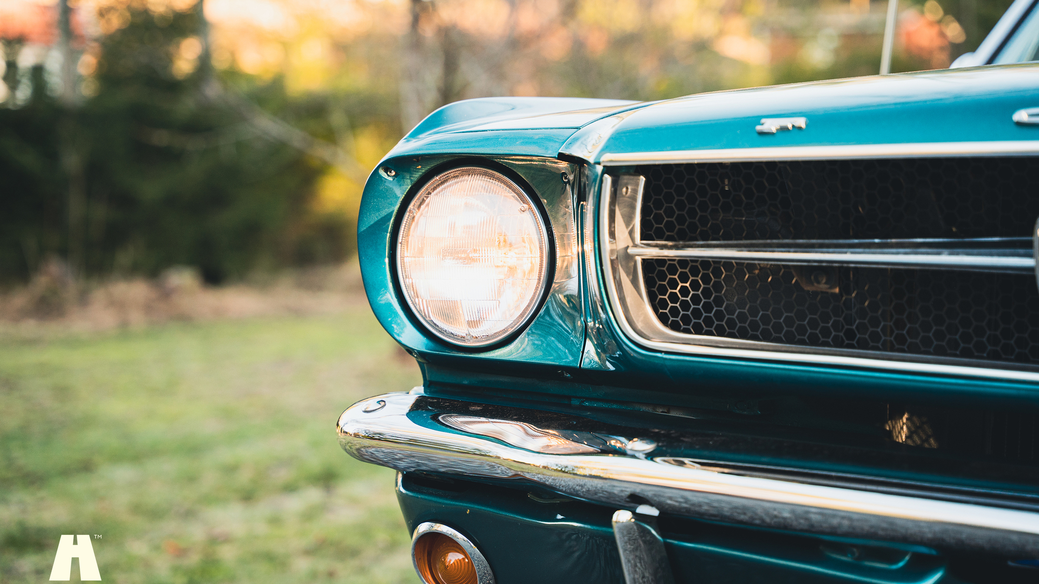 Aussenfoto 1965 Ford Mustang Cabriolet (19)