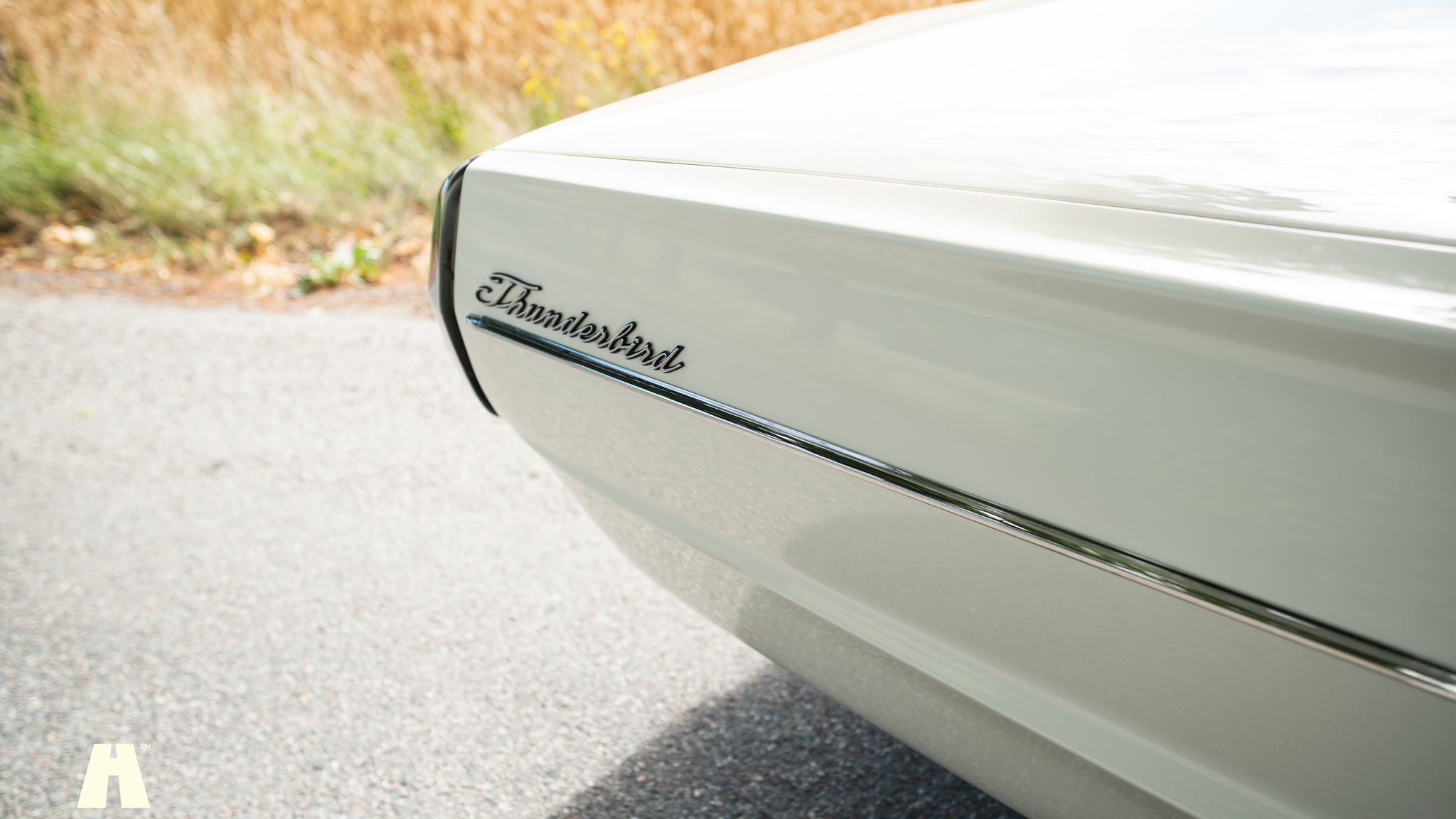 Aussenfoto 1965 Ford Thunderbird (36)