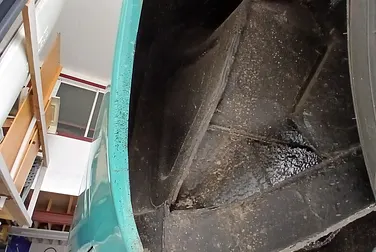 #<Image:0x00007f6677b008d0>