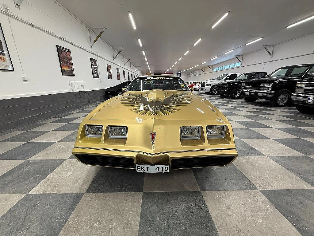 Bild von 1979 Pontiac Firebird (5)